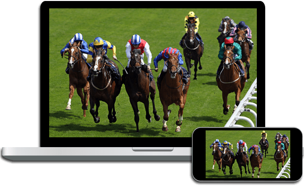 Live Horse Racing on DISH Live Horse Racing on DISH
