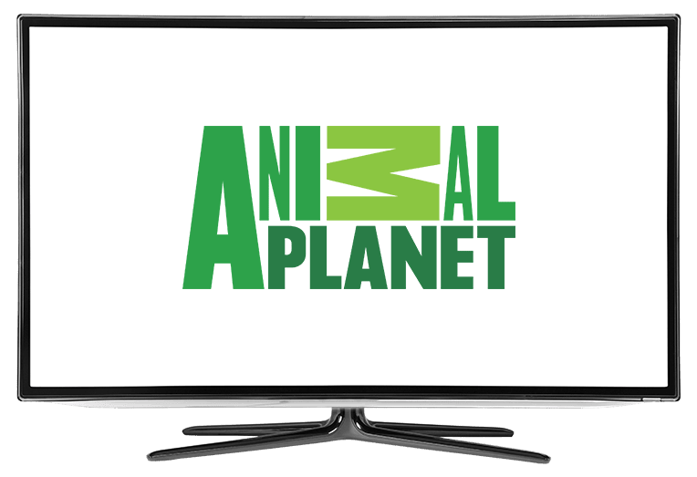 What Channel is Animal Planet on DISH?