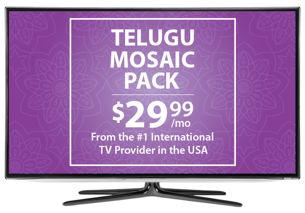 Telugu TV Channels From DISH