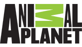 Animal Planet
